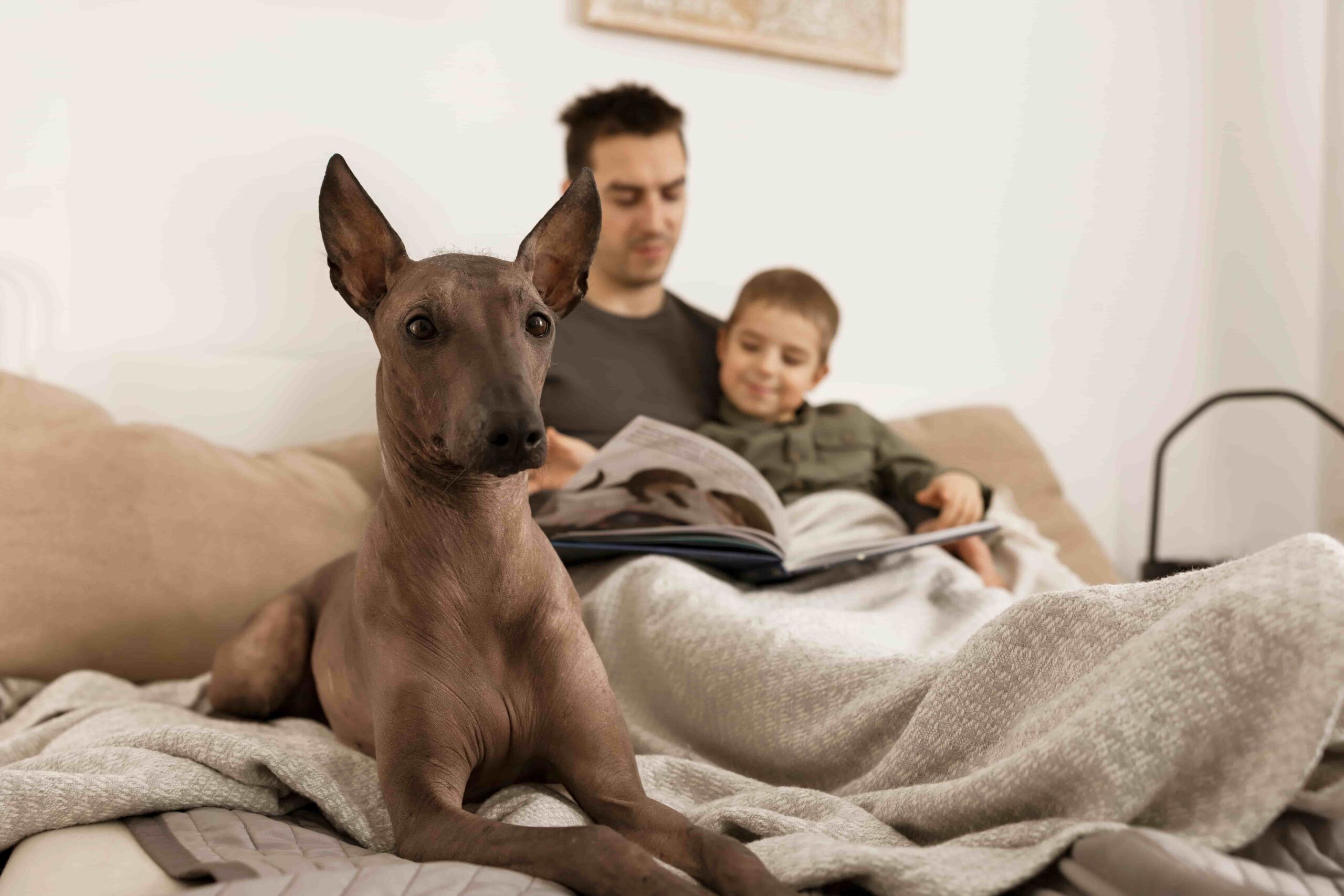 papa leyendo a su hijo leyendas cortas para ninos.